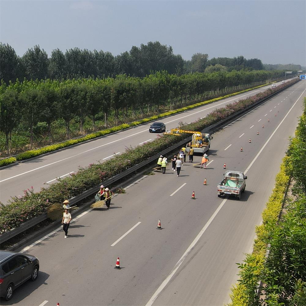 4.5m Telescopic Arm Hedge Trimming Machine
