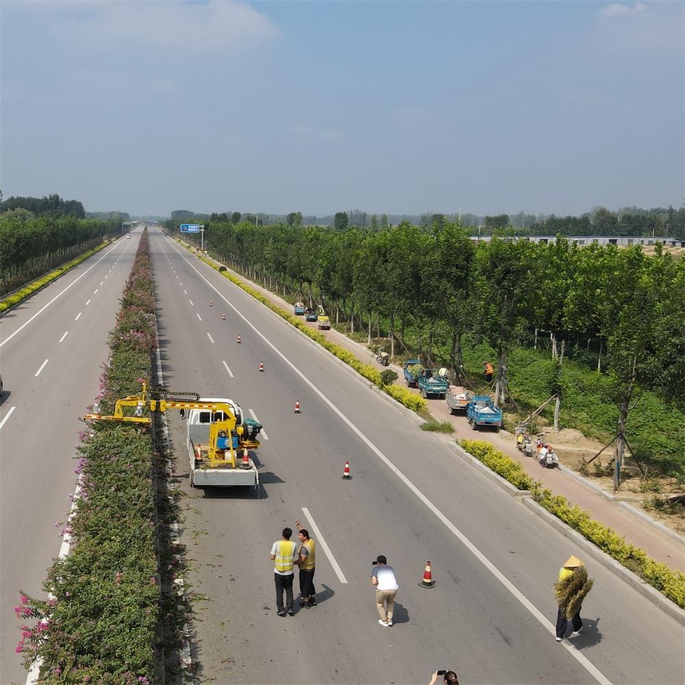 4.5m Telescopic Arm Hedge Trimming Machine